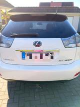 Lexus RX 400 Executive Luxury  - Lexus RX 400 Gebrauchtwagen