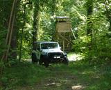 Jeep Wrangler JK 3,6 V6 Cabrio Jagd Seilwinde/Bügel  - Jagd Autos