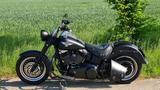 Harley-Davidson Fat Boy Spezial/Lo FLSTFB mit Penzelauspuff - Motorräder in Dresden