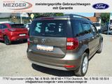 Skoda Yeti Joy - Skoda Yeti: Braun