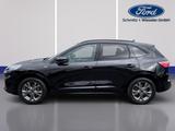 Ford Kuga ST-Line X 1.5 EcoBoost 150PS LED Kamera Nav - Ford: Pickup, 150