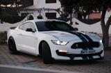 Ford Mustang Shellby GT350 - Ford Mustang: Gt350