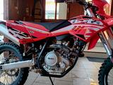 Beta 125RR sehr guter Zustand - BETA MOTORRAD