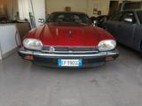 Jaguar XJ XJ-S 3.6 Coupé iscritta ASI - Jaguar XJ: Coupe