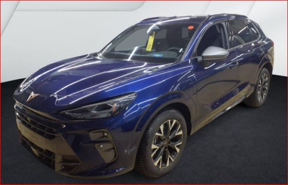 Image of Cupra Terramar