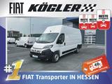 Fiat DUCATO KASTEN 35 MAXI | L4H3 |180D | AUTOMATIK - Fiat Ducato mit Diesel-Antrieb: L1h1