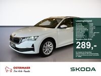 Skoda Octavia - Vorschau Bild 1