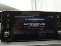 Skoda Kamiq - Vorschau Bild 14