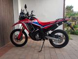 Honda CRF 300 Rally - HONDA CRF300