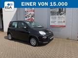 Fiat Panda 1.0 Mild Hybrid Base *KLIMA*ZV MIT FB*E-FE - Fiat Panda Tageszulassungen mit Benzin-Antrieb: Limousine