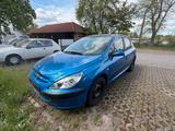 Peugeot 307 - blaue Peugeot 307
