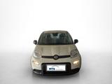 Fiat Panda Hybrid 1.0 GSE 51kw (70PS) - Fiat Panda Tageszulassungen