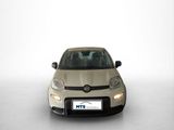 Fiat Panda Hybrid 1.0 GSE 51kw (70PS) - Fiat Panda Tageszulassungen