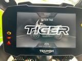 Triumph Tiger 900 Rally Pro - TRIUMPH TIGER 900