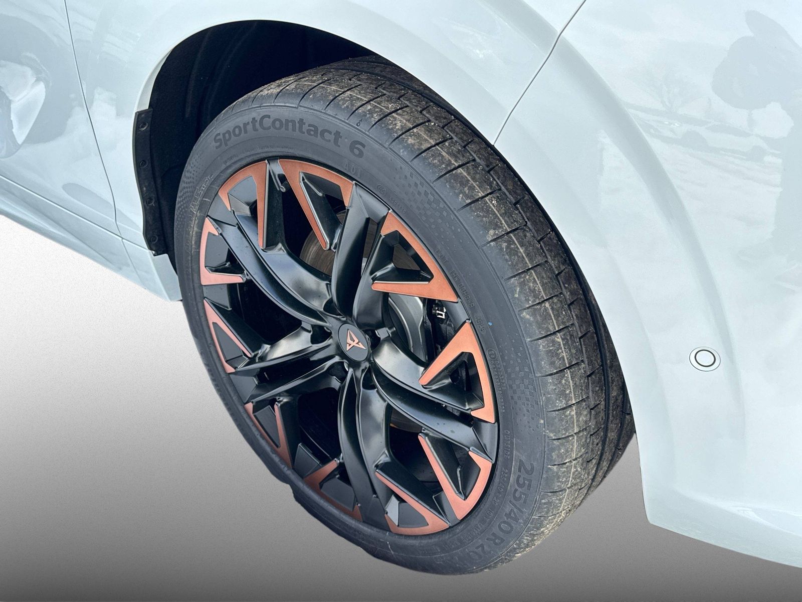 Cupra Terramar - Bild 4