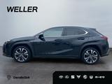Lexus UX 250h Style Edition *Bi-LED*ACC*CAM*SHZ*CarPla - Lexus UX: Style Edition