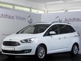 Ford Grand C-MAX Titanium *RFK*TEMP*7-SITZ - gebrauchte Ford Grand C-Max aus dem Jahr 2018