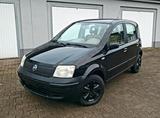 Fiat Panda 169 | 1.1 | Top Zustand | TÜV N... - Fiat Panda Gebrauchtwagen in Krefeld