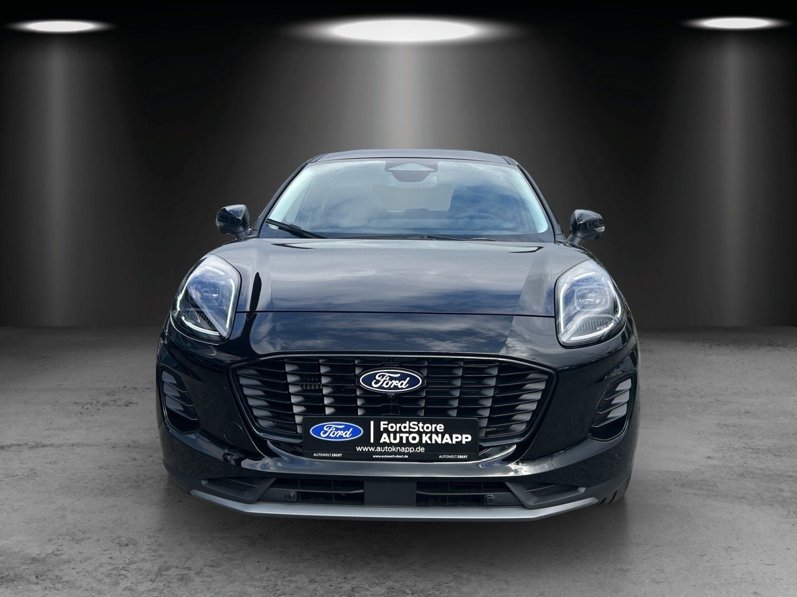 Fahrzeugabbildung Ford Puma Titanium Winter Pak. Fahrer Ass. Komfort Pa