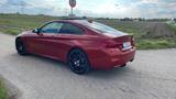 BMW M4 Competition LCI ohne OPF f82 Originalzustand - BMW M4: F82