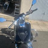 Honda Black Widow VT 750 - HONDA VT 750