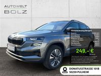 Skoda Karoq - Vorschau Bild 1