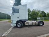 DAF FT XF 480 SC Kipphydraulik - Tier-/Pferdetransport