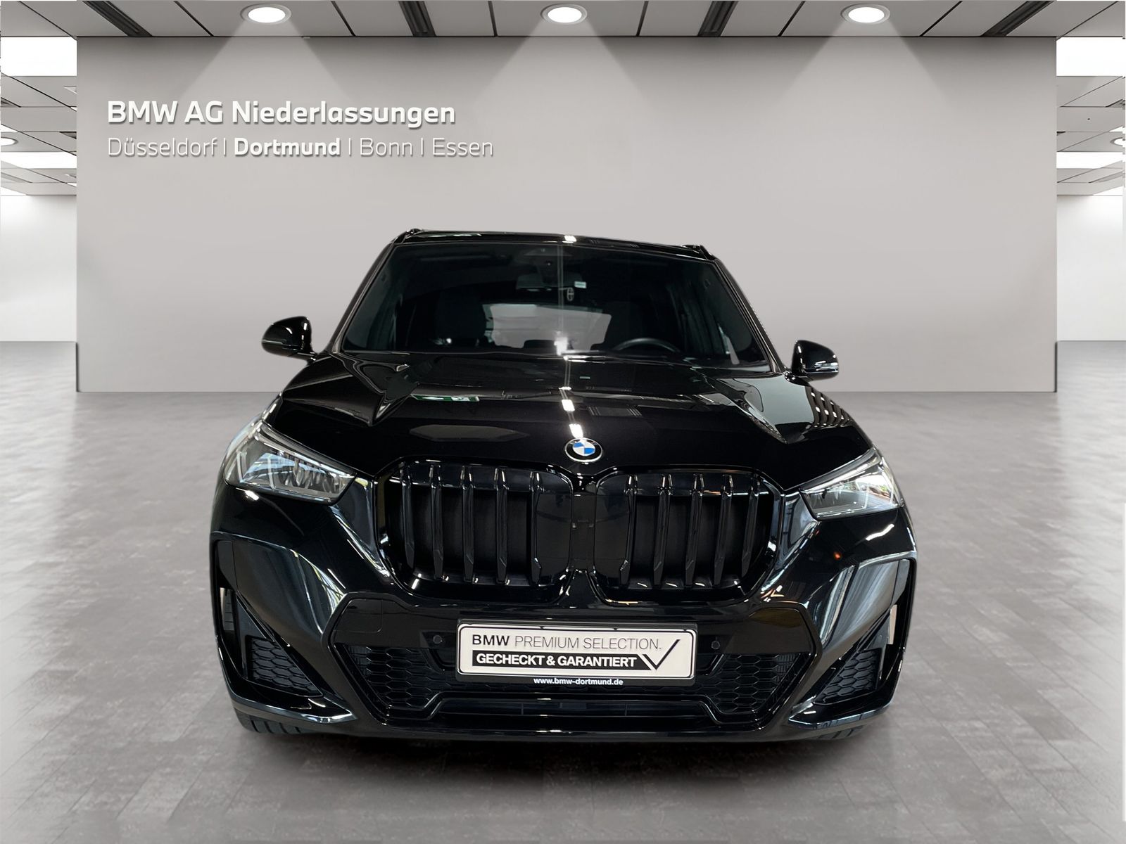 BMW X1 sDrive20i M Sport Kamera Sitzheizung foto 5