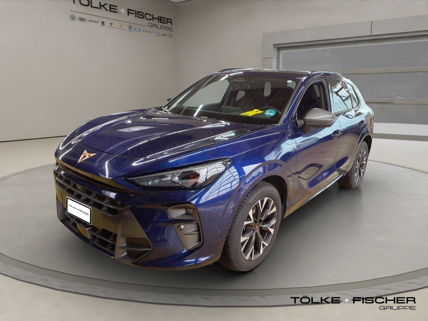 Cupra Terramar 1.5 eTSI W ACC AUT Kam. Navi Sportp.