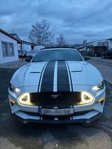 Ford Mustang GT Optik 2.3 Eco Boost Cabrio - Ford Mustang in Bremen