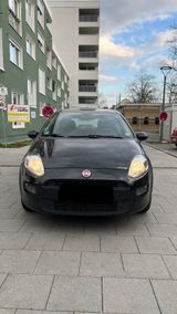 Fiat Punto 1.2 8V - - Fiat Punto aus 2015