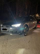 Audi A4 B9 Allroad Quattro 3.0 TDI 272 Ps V6 - Audi A4: B9