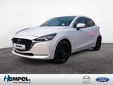 Mazda 2 1.5 Sports-Line PDC SHZ KAMERA HUD FACEL. LED - Mazda 2 in Braunschweig