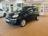 Fiat Panda 1.2 More Klima Bluetooth PDC Alu - Fiat Panda: More