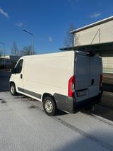 Fiat Ducato - Fiat Ducato Gebrauchtwagen in Stuttgart