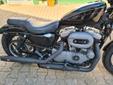 Harley-Davidson Nightster XL1200N - HARLEY-DAVIDSON NIGHTSTER