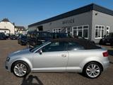 Audi A3 Cabriolet Ambition Leder, Shz, Pdc, Xenon - silberne Audi A3