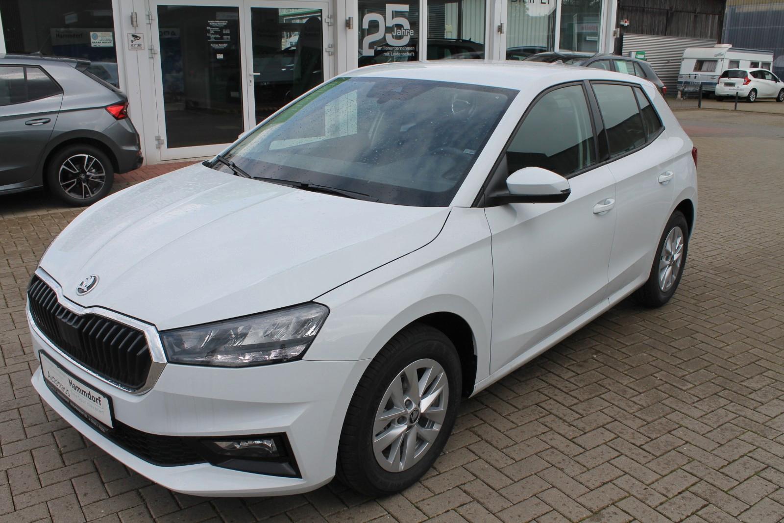 Skoda Fabia 1.0 MPI 130 Jahre SHZ/PDC/SmartLink/Kamera