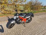 Suzuki SFV Gladius 650, 48PS, A2 Führerschein - SUZUKI LEIPZIG