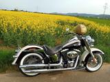 Harley-Davidson Softail Deluxe 5HD mit Zertifikat! Top Zustand - HARLEY-DAVIDSON 2011 SOFTAIL DELUXE