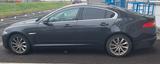 Jaguar XF 2.2 L Diesel - - gebrauchte Jaguar XF aus dem Jahr 2014