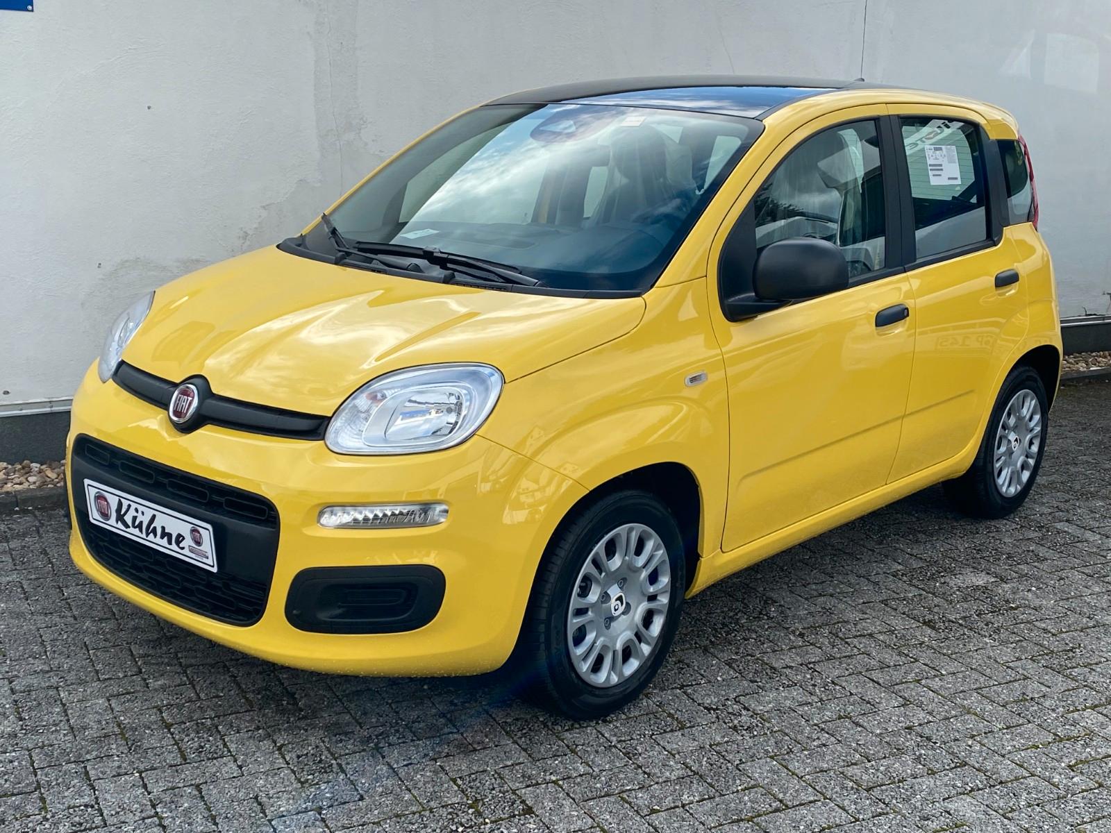Fiat Panda 1.0 GSE Pandina Hybrid Dach schwarz