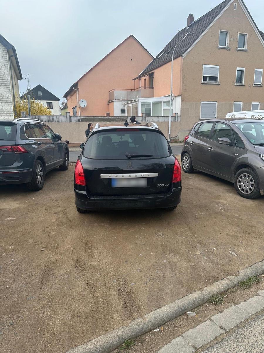 Peugeot 308 2008 — photo 5
