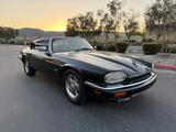 Jaguar XJS Convertible 2+2 - Jaguar XJS Gebrauchtwagen