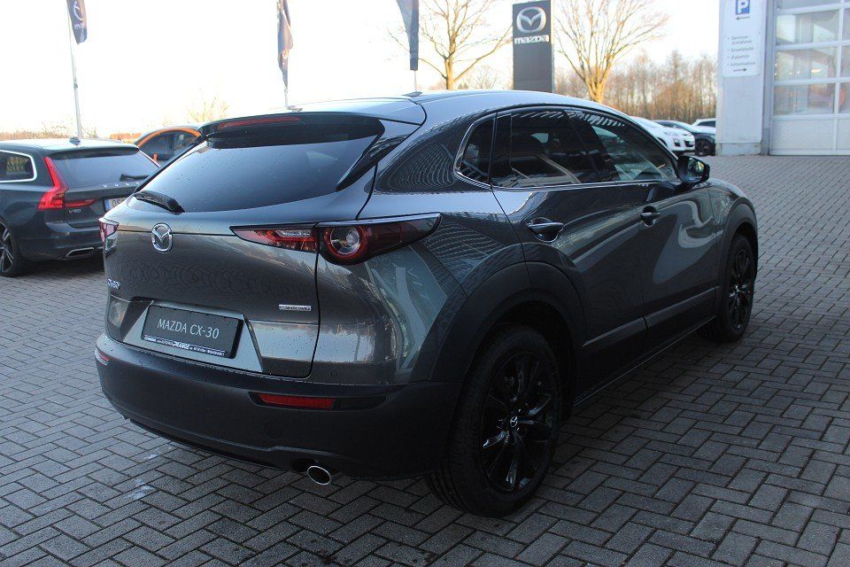 Fahrzeugabbildung Mazda CX-30 2025 M-Hybrid Homura X-186 NAVI ACAA SHZ H