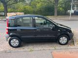 Fiat Panda mit TÜV (7/26) - Fiat Panda Gebrauchtwagen in Hannover