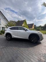 Lexus NX 350h Sport - Lexus: Sport