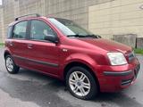 Fiat New Panda 1.2 8V Dynamic *2.Hand* - rote Fiat New Panda