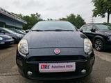 Fiat Punto Diesel - Fiat Punto in Essen