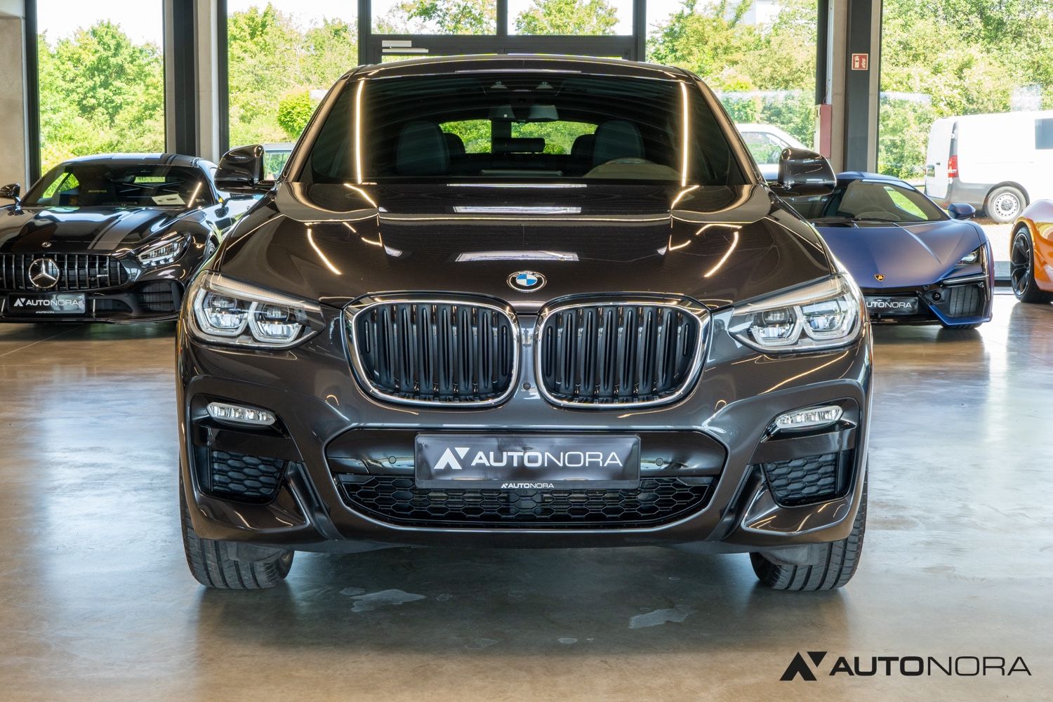 BMW X4 xDrive20d M Sport LED 360° Navi Pro foto 5